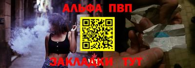 СК Бийск