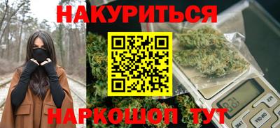 СК Бийск