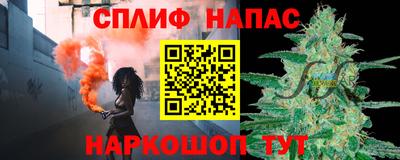 СК Бийск
