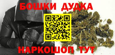 СК Бийск
