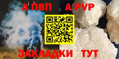 СК Бийск