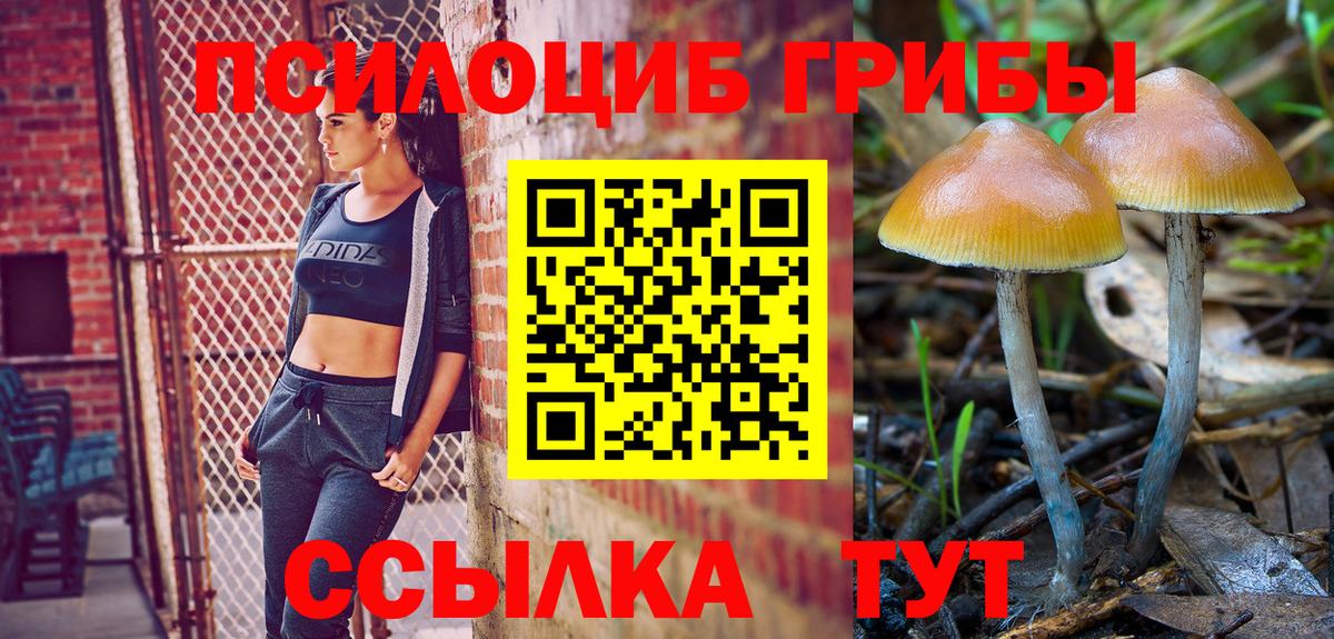Галлюциногенные грибы GOLDEN TEACHER Апрелевка